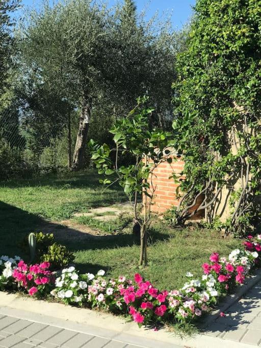 Casa Isabelle Apartment Canneto  Exterior photo